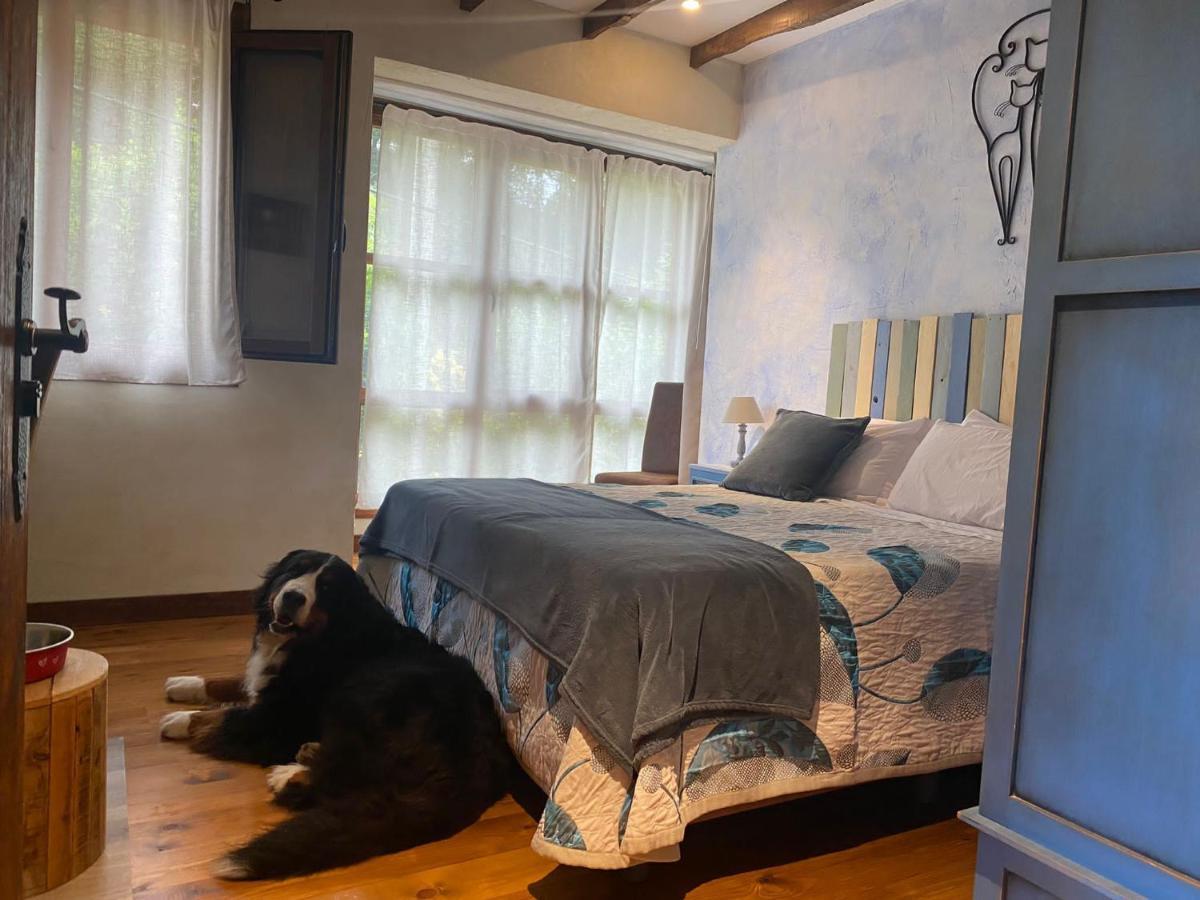 Posada Pet Friendly El Molino De Cantabria Entrambasaguas  Exterior photo