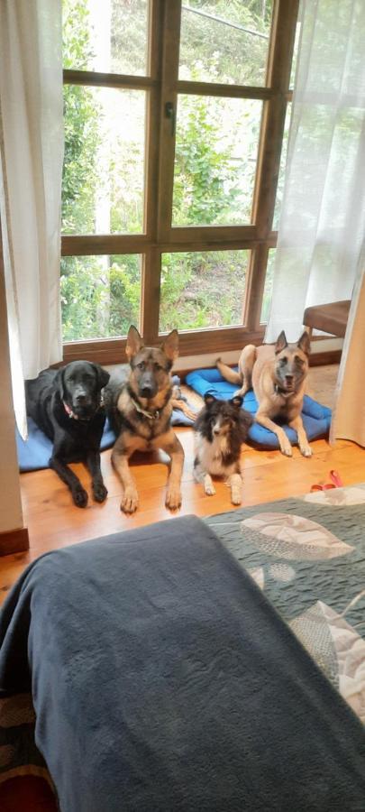 Posada Pet Friendly El Molino De Cantabria Entrambasaguas  Exterior photo