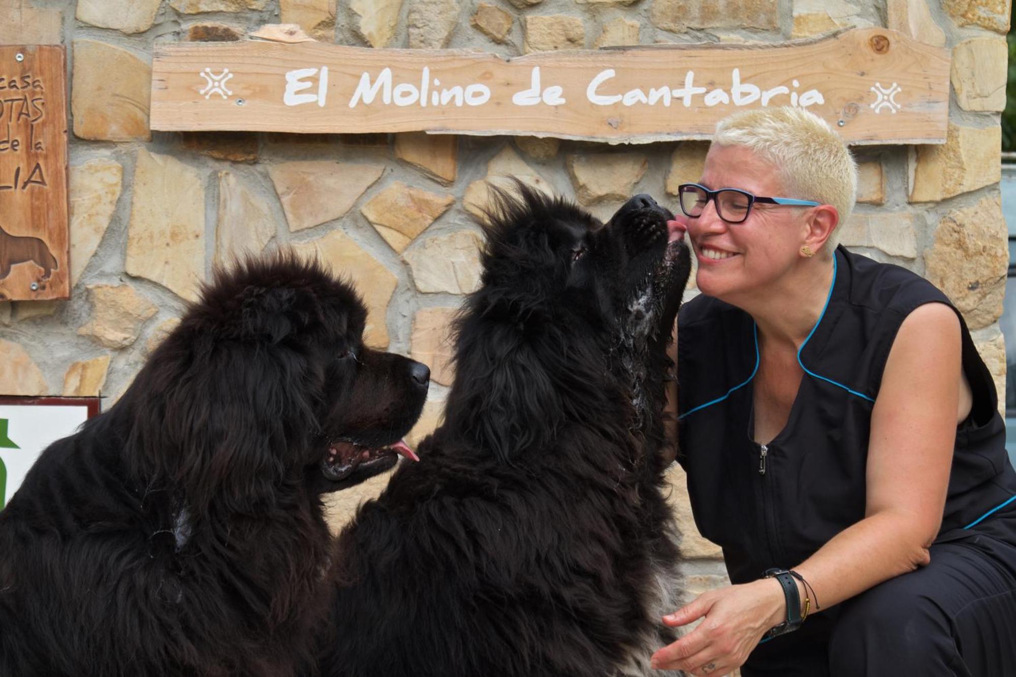 Posada Pet Friendly El Molino De Cantabria Entrambasaguas  Exterior photo