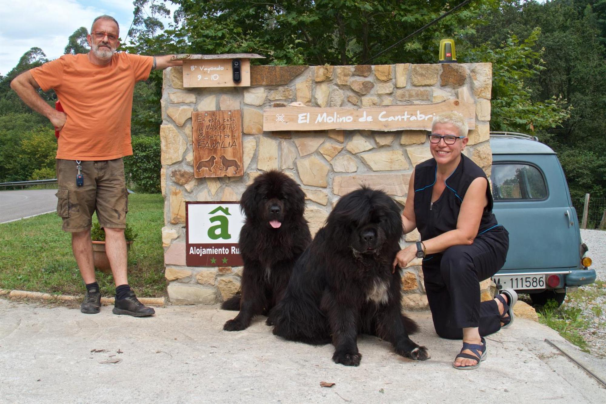 Posada Pet Friendly El Molino De Cantabria Entrambasaguas  Exterior photo